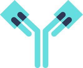 Monoclonal antibody icon