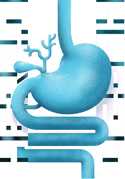 Artistic rendition of blue gastrointestinal tract between HER2.0 columns
